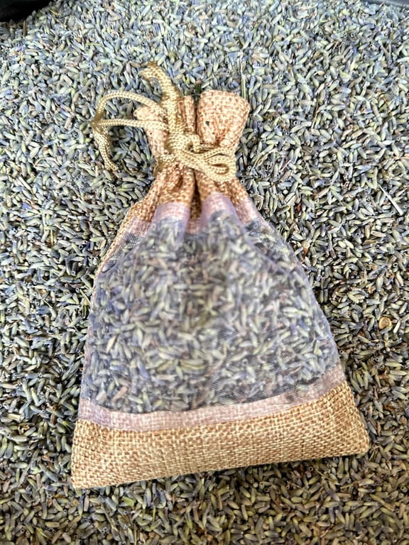 NỤ HOA LAVENDER PHÁP thơm ngào ngạt