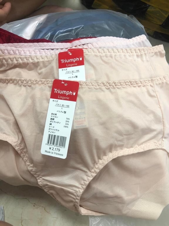 Set 10 quần chip Triumph