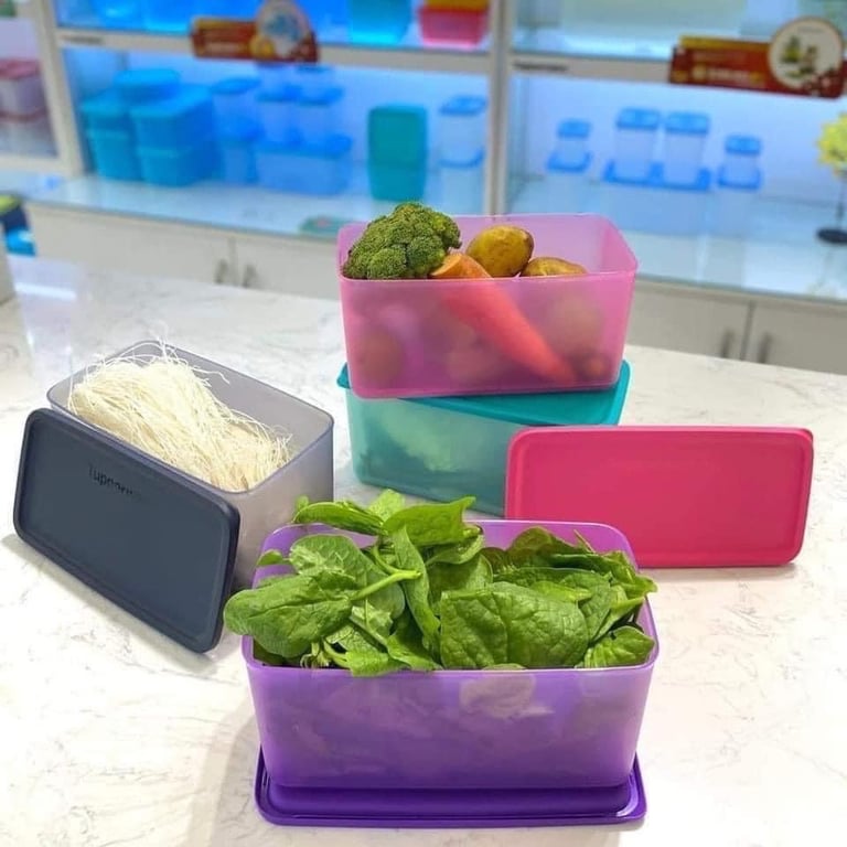 HỘP TUPPERWARE FUNTASIC 3.1L