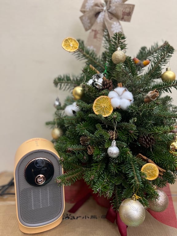 Quạt sưởi để bàn kèm phun sương bù ẩm bear DNQ A08R1