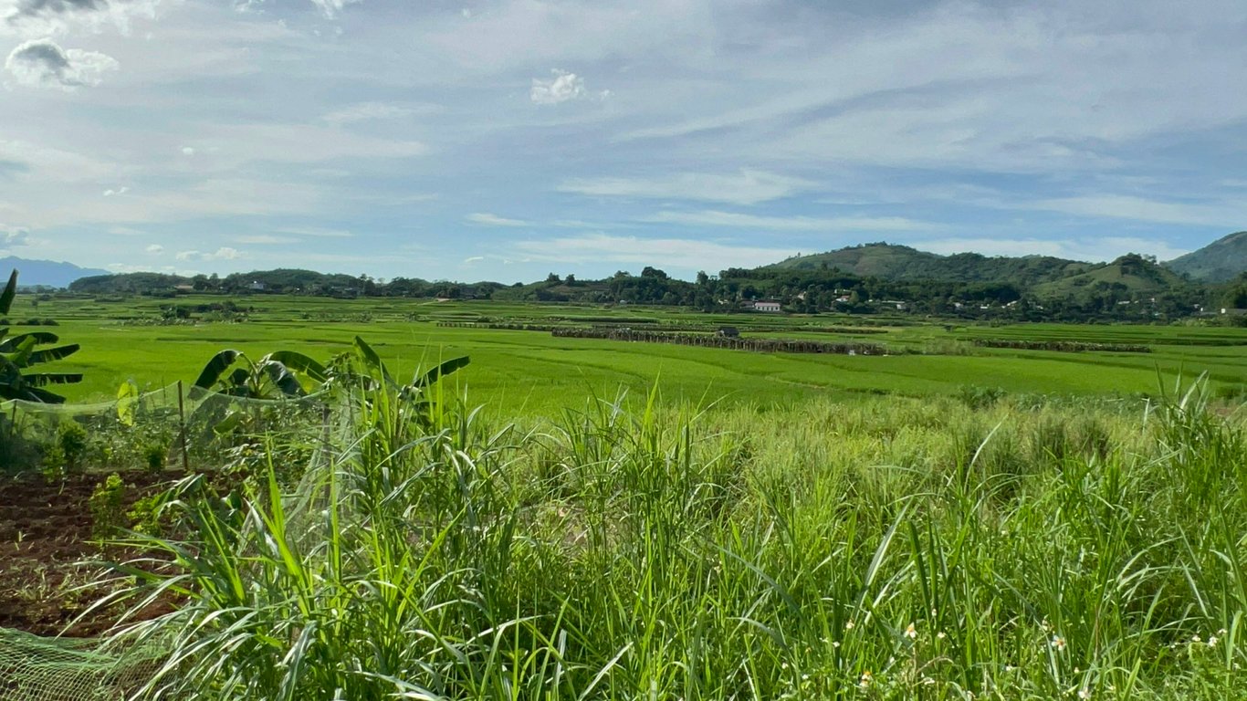 Lô đất 304m2 có 200m2 thổ cư tại Tân Lạc, Hoà Bình chỉ 299tr