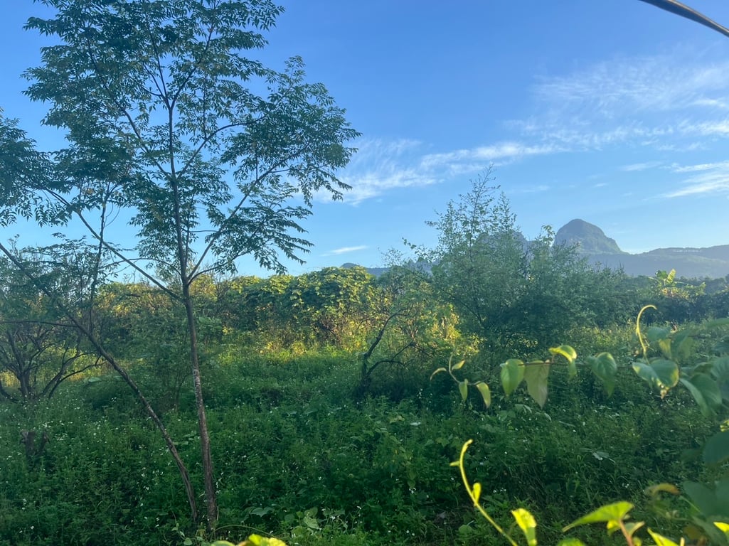 2020m2 có 100m2 tại Bắc Phong, Cao Phong, Hoà Bình