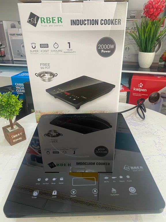 BẾP TỪ ĐƠN ARBER AB301A