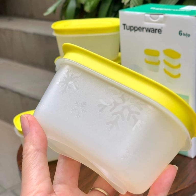 Set 6 Hộp trữ đông mini 170ml tupperware