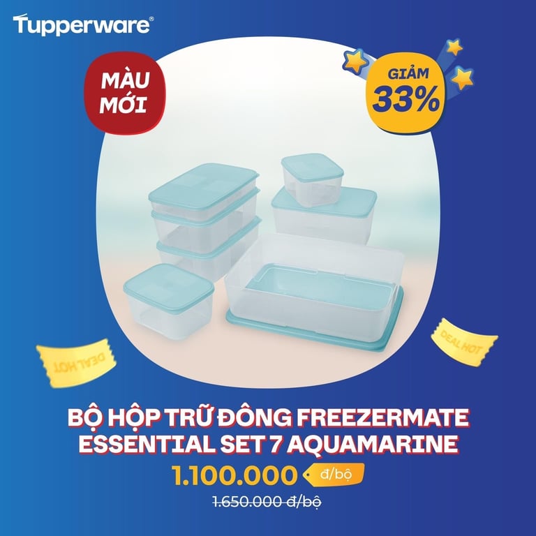 Set hộp trữ đông freezermate