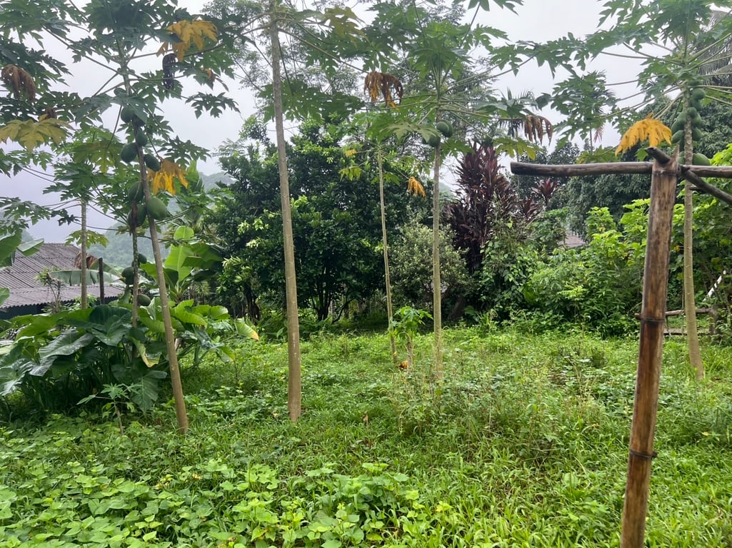 Nhân Mỹ- Tân Lạc - Hòa Bình (496m2)