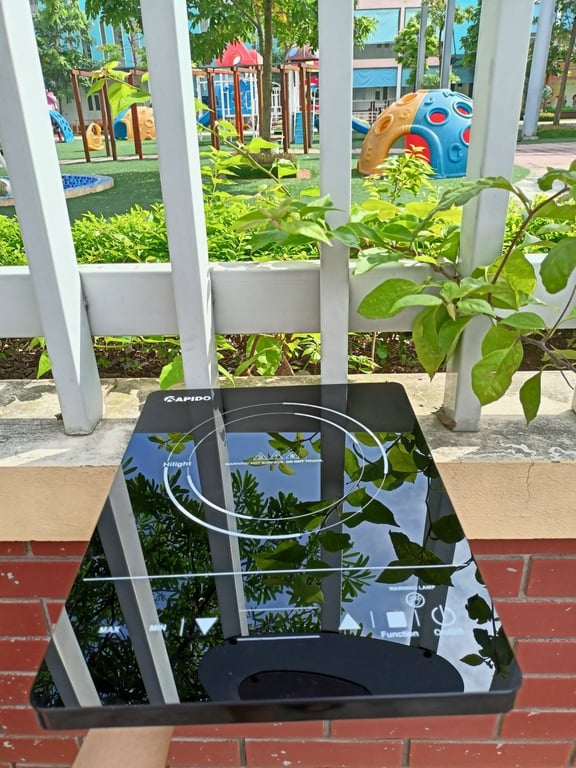 Bếp hồng ngoại đơn RAPIDO RC2000ES