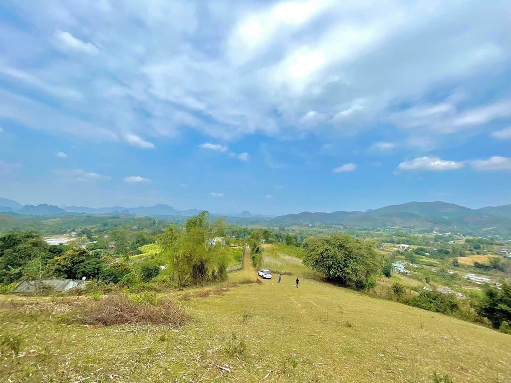 5653m2 có 400m2 thổ cư Đất Hợp Phong- Cao Phong- Hoà Bình