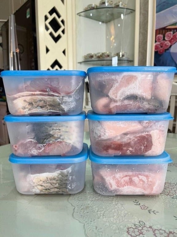 Bộ 6 hộp đông Tupperware Basic Set 650ml