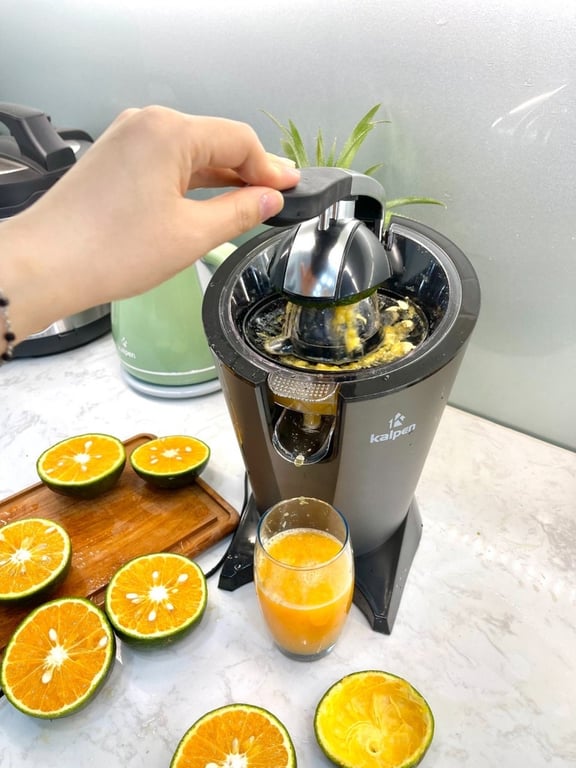 MÁY VẮT CAM KALPEN CJK-2682