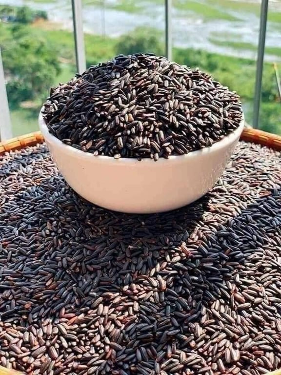 Gạo lứt than đen - gạo tươi hagagol