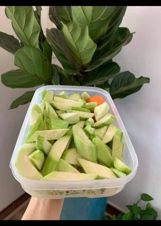 Hộp trữ mát có nút hô hấp ventsmart  1.8L thấp