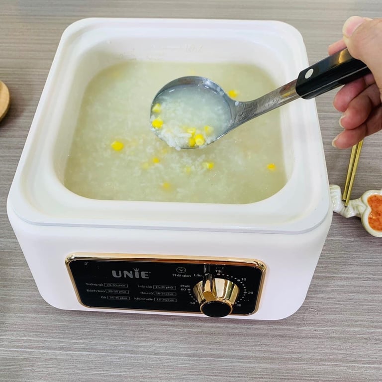 nồi hấp lẩu đa năng 2 tầng hấp 1 ngân lẩu UE660