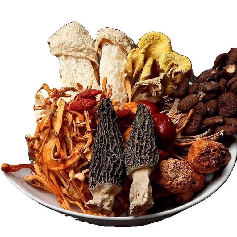 Set 2 gói 10 loại nấm quý Vân Nam (100g/gói)