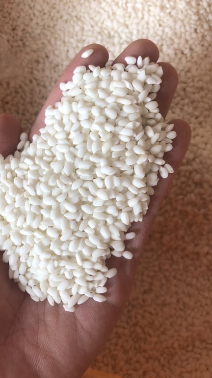 gạo nếp cái hoa vàng