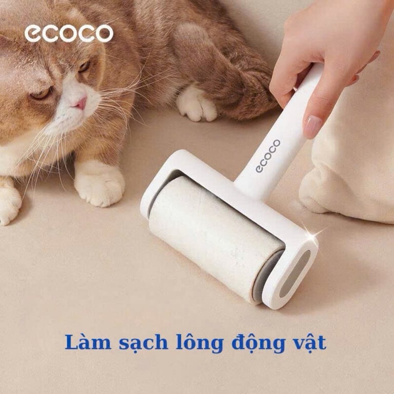 Cây Lăn Bụi ECOCO