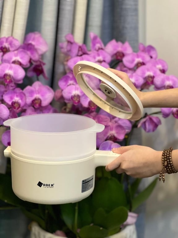 Bộ nồi điện có chống dính kèm xửng hấp Arber