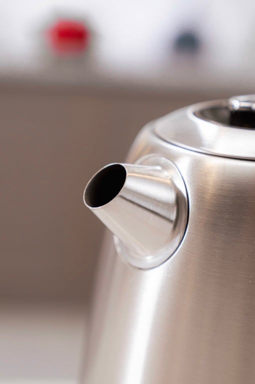 Ấm Siêu Tốc Inox Thế Hệ Mới Bühäiber 1.7L BHB0223