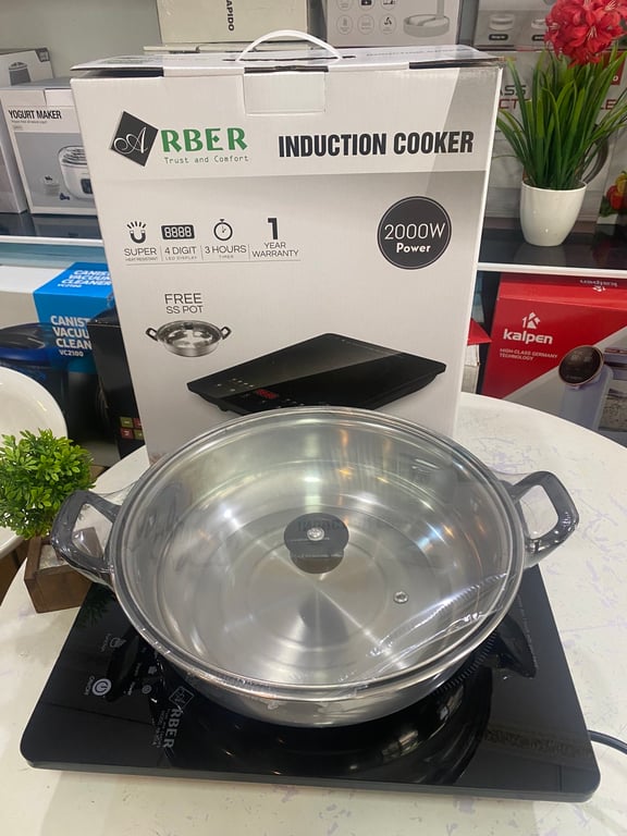 BẾP TỪ ĐƠN ARBER AB301A