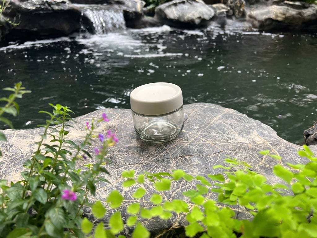 Bộ Hũ Đựng Gia Vị, Chai Đựng Dầu Ăn Kèm Kệ Cao Cấp