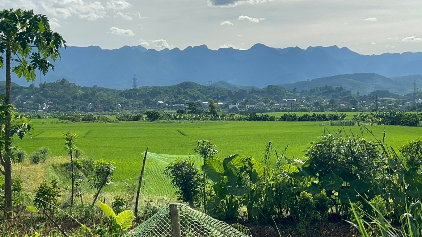 Lô đất 304m2 có 200m2 thổ cư tại Tân Lạc, Hoà Bình chỉ 299tr