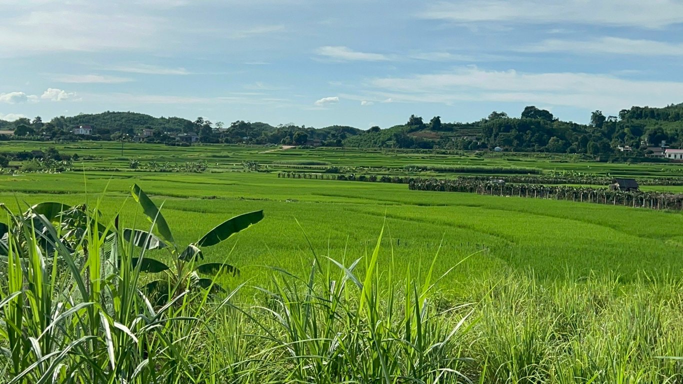 Lô đất 304m2 có 200m2 thổ cư tại Tân Lạc, Hoà Bình chỉ 299tr