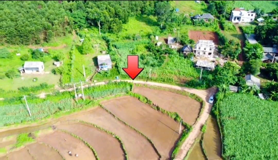 720m2-200m2 ONT Tại Tân Lạc- Hòa Bình