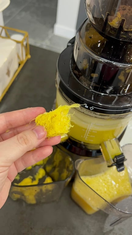 Máy ép chậm kalite kl 599