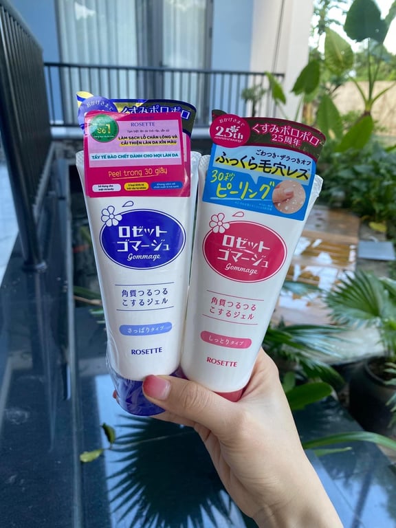 𝐓𝐀̂̉𝐘 𝐃𝐀 𝐂𝐇𝐄̂́𝐓 𝐑𝐎𝐒𝐄𝐓𝐓𝐄 𝐍𝐇𝐀̣̂𝐓