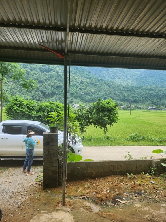 333m2 có 100m2 ONT Tại Phú Cường Tân Lạc, Hòa Bình chỉ 499tr