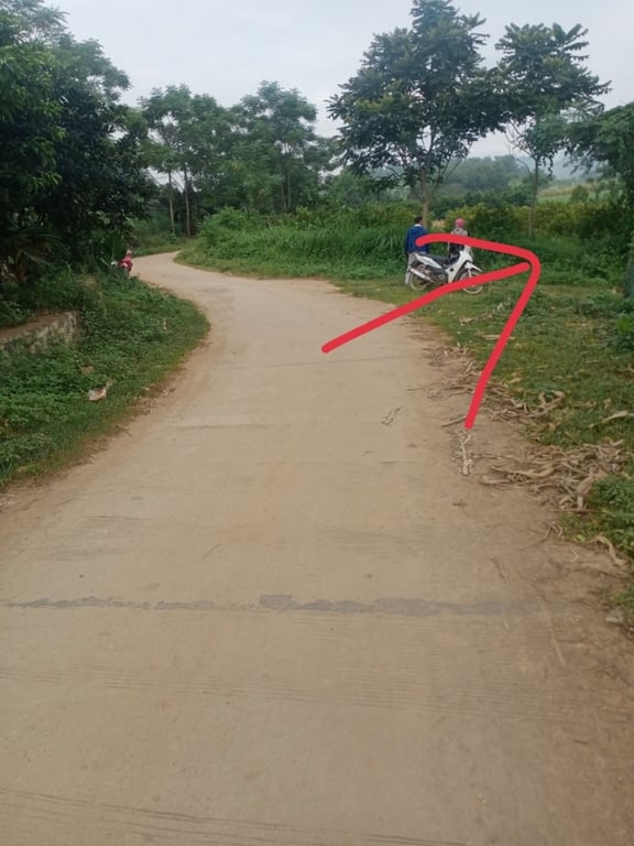 2500m2 tại Lỗ Sơn,Tân Lạc, Hoà Bình