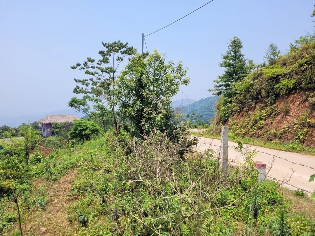 xóm Mừng, Cao Phong, Hòa Bình (2500m2)