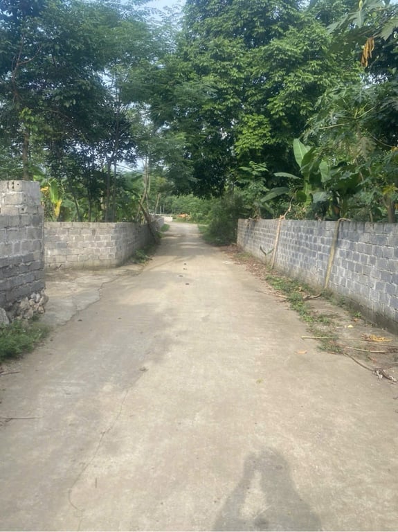 96m2 full thổ cư tại  Cao Dương, Lương Sơn, Hoà Bình