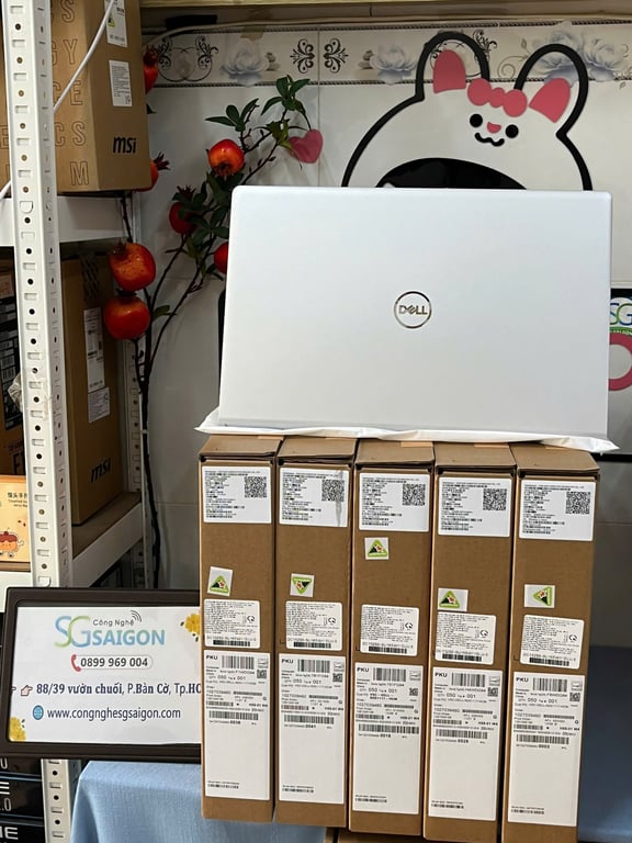 Laptop Dell 15 DC15250-i5U165W11SLU-5