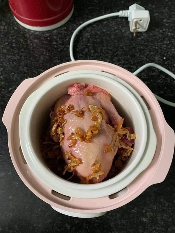 NỒI NẤU CHẬM 0.8L BEAR