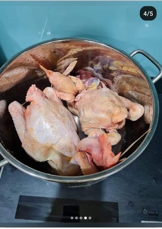 NỒI LUỘC GÀ FIVESTAR size 28-30-32-36