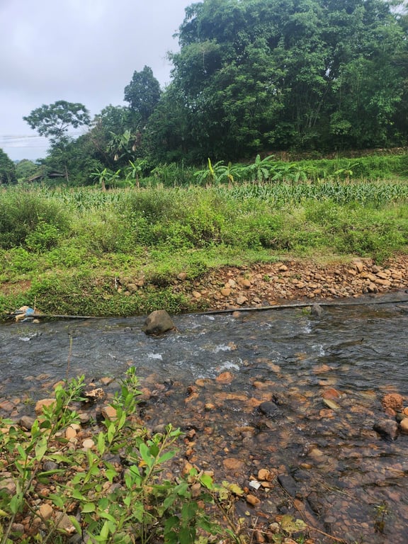 Đất đẹp bên suối tại Thạch Yên, Cao Phong, Hòa Bình (1500m2).