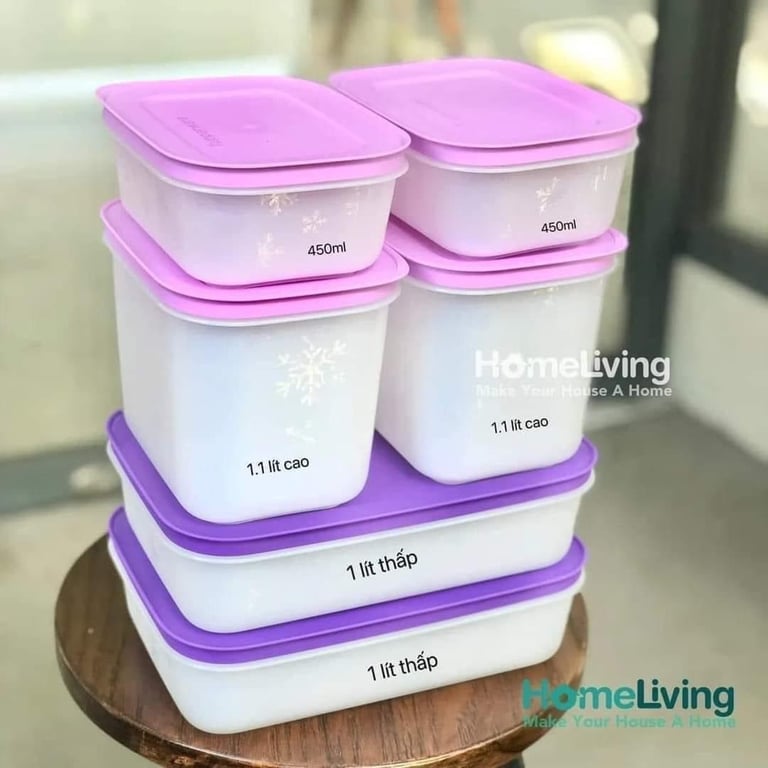 Set 6 hộp đông dẻo violet tupper