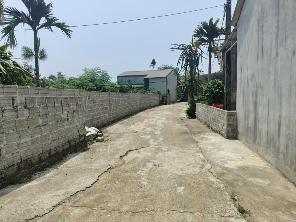 261m2, có 100m2 thổ cư tại Phú Lai, Yên Thuỷ, Hoà Bình chỉ hơn 300tr