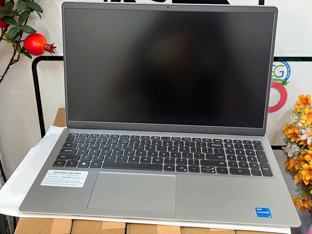Laptop Dell 15 DC15250-i5U165W11SLU-5