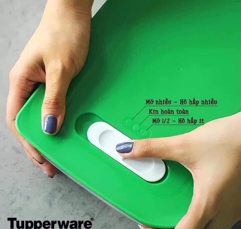 Hộp trữ mát có nút hô hấp ventsmart  1.8L thấp