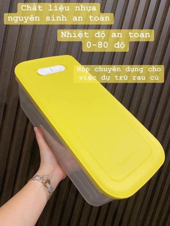 Hộp vensmart tupper 6.5L