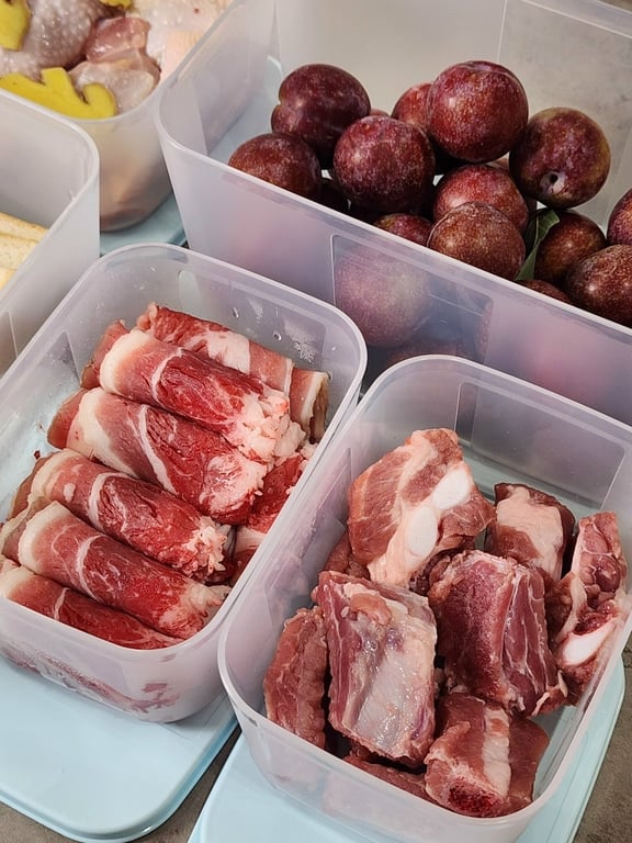 Set hộp trữ đông freezermate