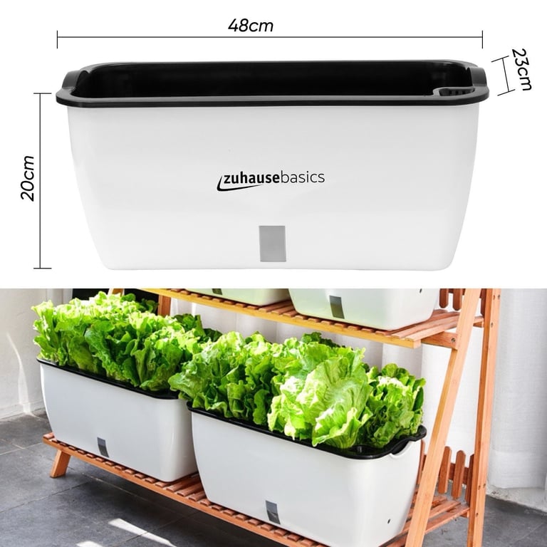 Set 3  Chậu Trồng Cây Thông Minh zuhause