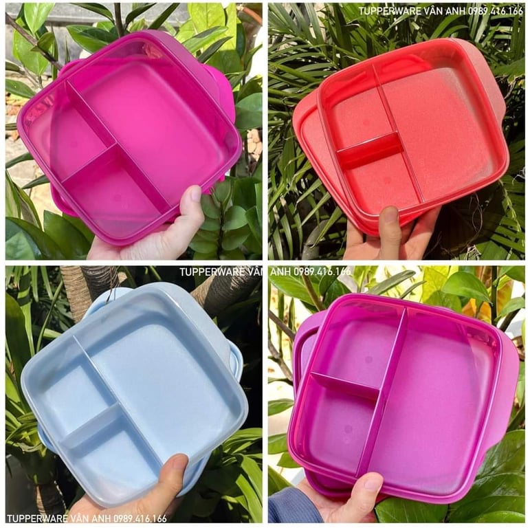 Hộp cơm Lolly Tupperware