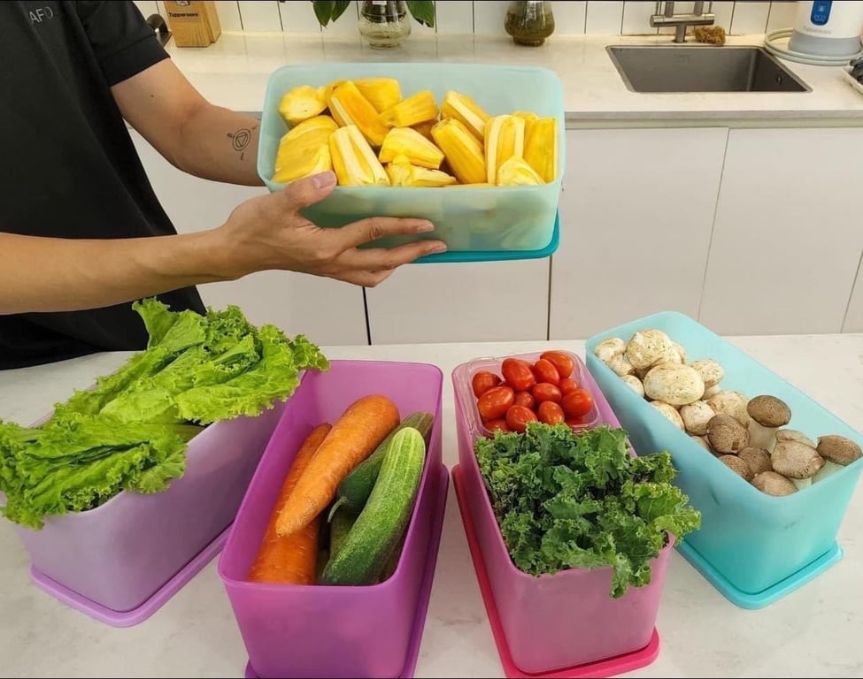 HỘP TUPPERWARE FUNTASIC 3.1L