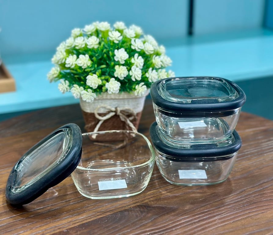 Set 2 Hộp thủy tinh nắp thủy tinh Lock&lock Oven Glass Line 300ml LLG950