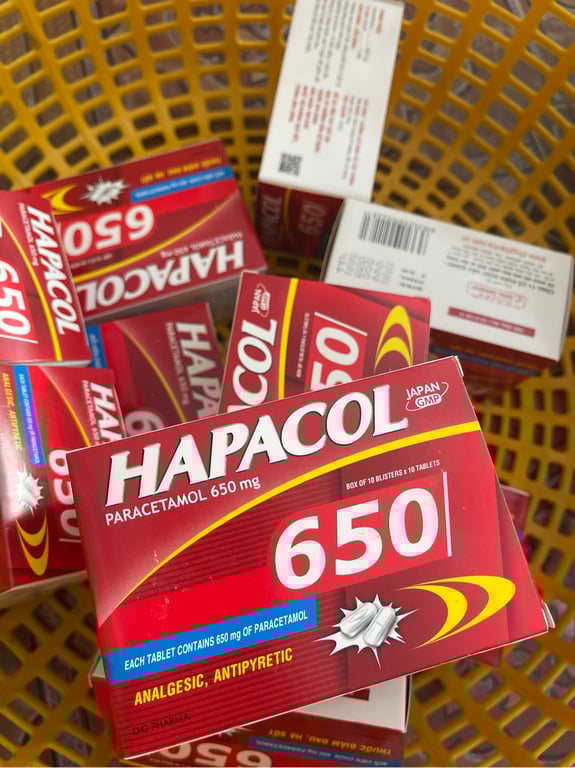 Hapacol 650 h/100v