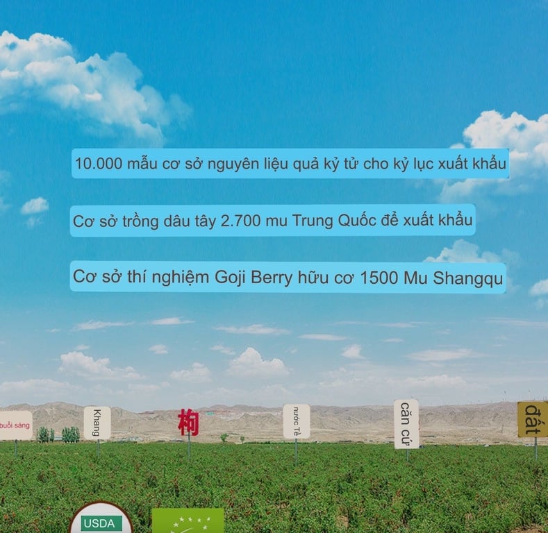 KỶ TỬ lọ 500gr