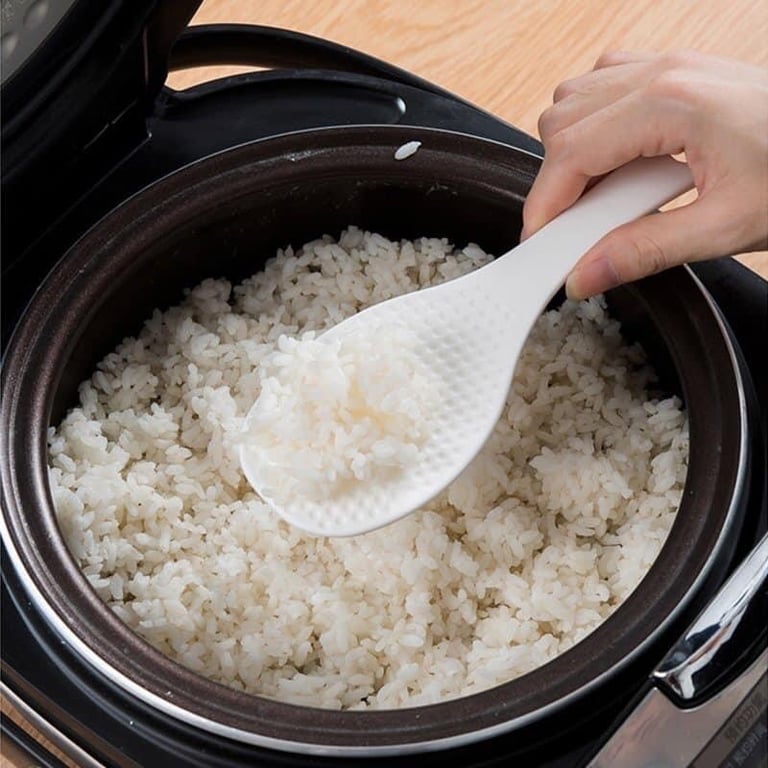 Muôi xới cơm kèm giá đựng Nhật Bản